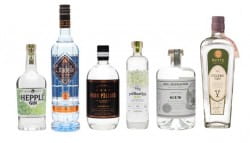  Win a case of six gins from The Whisky Exchange