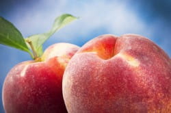 White peaches and Muscat de Frontignan