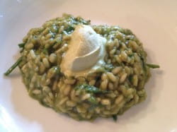 Wild asparagus and Istrian Malvazija