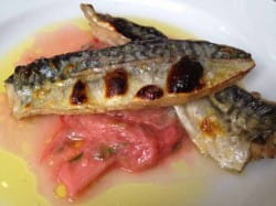 seared fillet of mackerel on a rhubarb purée